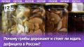 Цены на грибы в России растут: причины и прогнозы на ближайшие годы