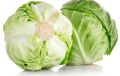 Зимние рецепты с капустой: согревающие блюда для домашнего уюта