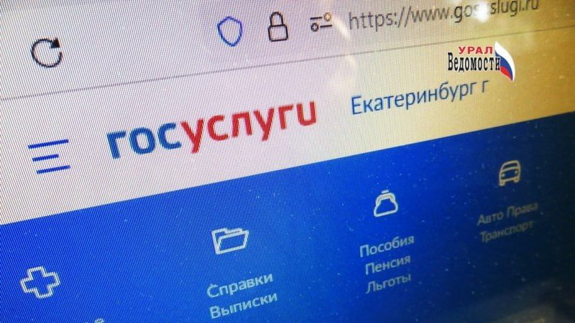 Новые правила сбора грибов: как получить разрешение через Госуслуги