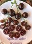 Томат черничный щербет: экзотический сорт, который удивит своим вкусом и цветом